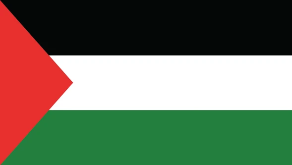 نقاش: فلسطين بين التمثيل والإدراك والعمل المجتمعي